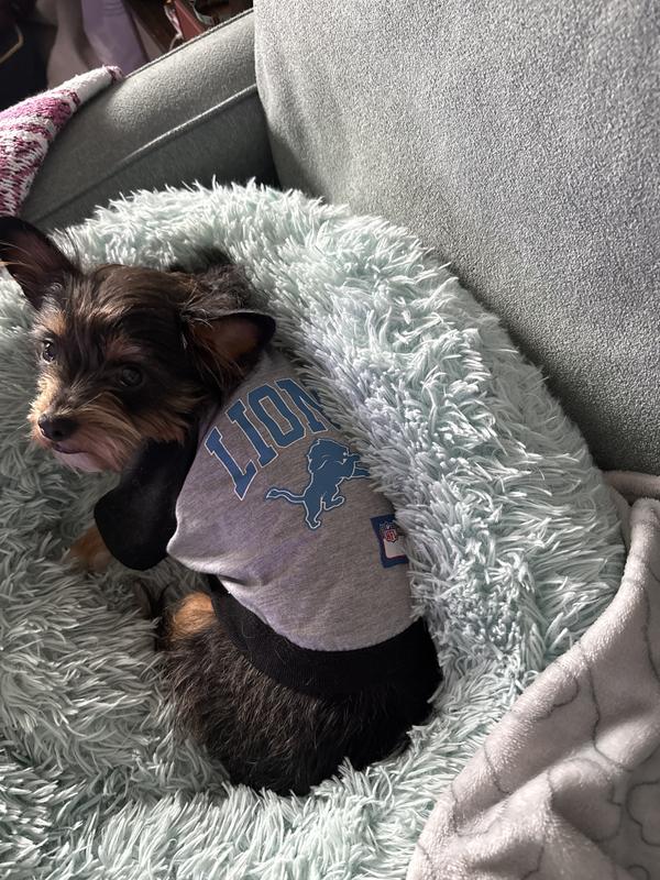 Murphy loved it too.