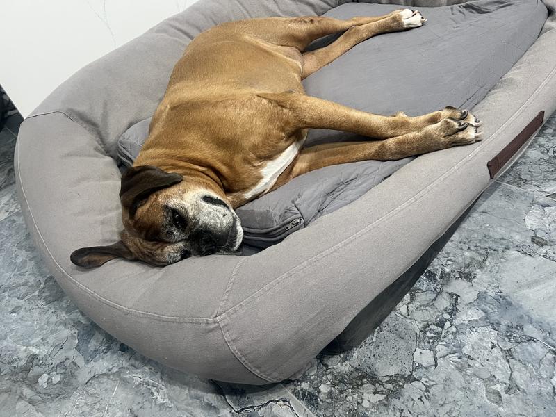 Happy and content