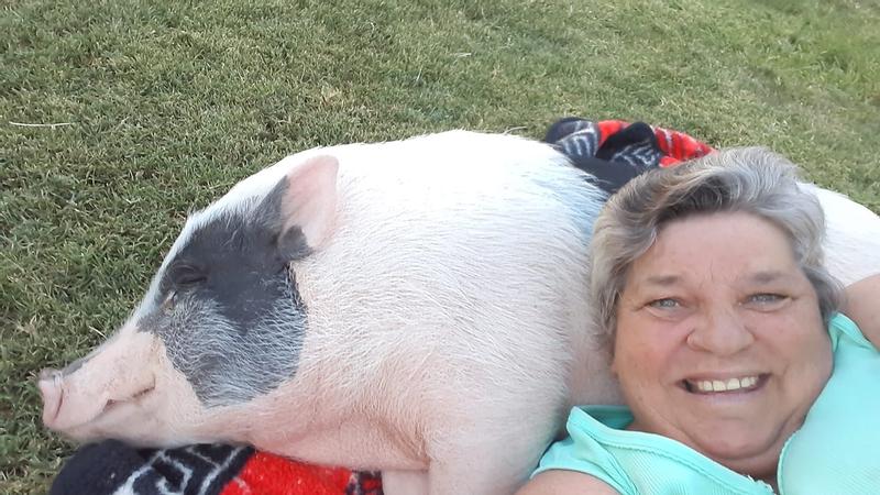 Happy Piggy & happy owner.