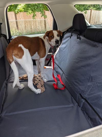 Furhaven Deluxe Multi-Panel Hard Bottom Platform Bridge Rear Seat Protector W/ Travel Bag - Grey, One Size - View #8