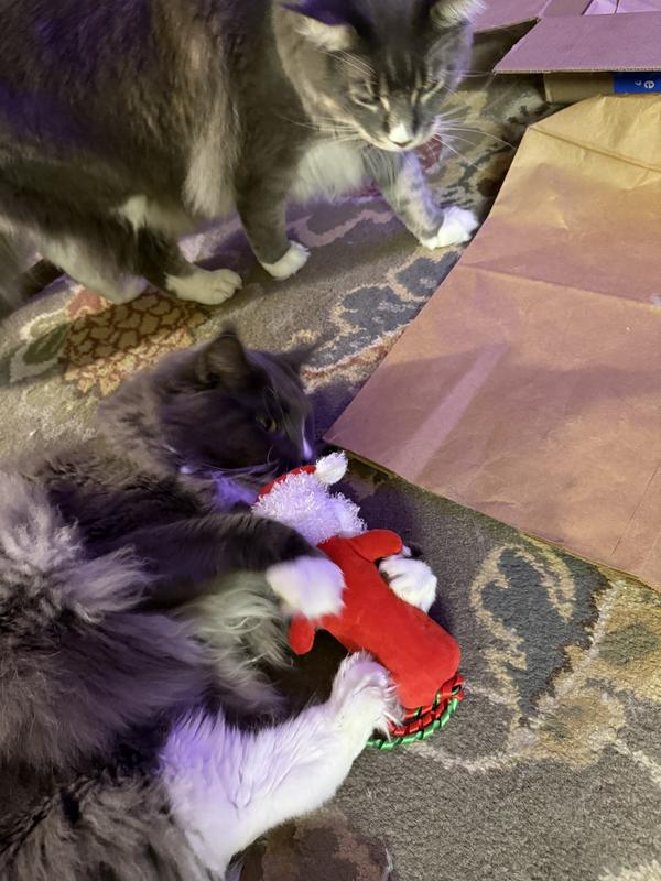 Anthony enjoying the Santa Kicker as his sister watches