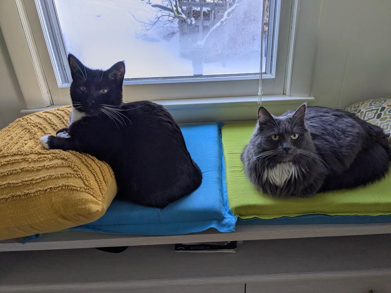 Tuxies with good taste