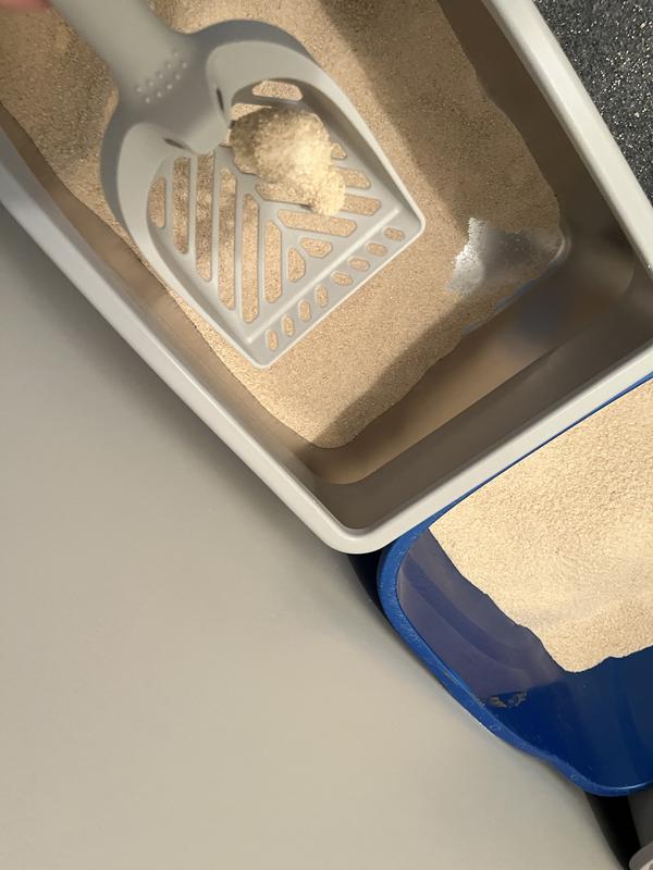 I used my scoop instead