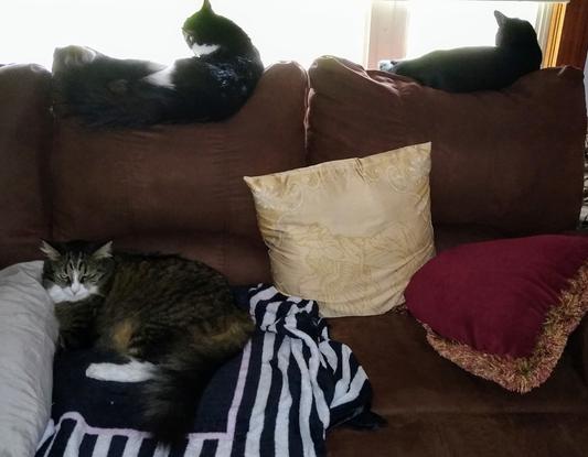 3 boys sometimes smell!