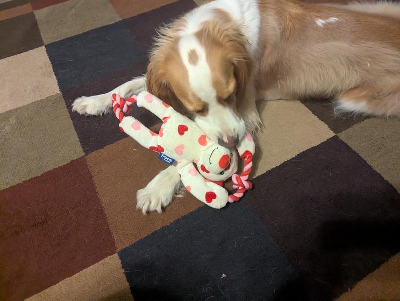 He loves his new baby