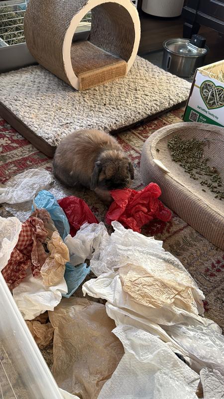 Helping wrap ornaments