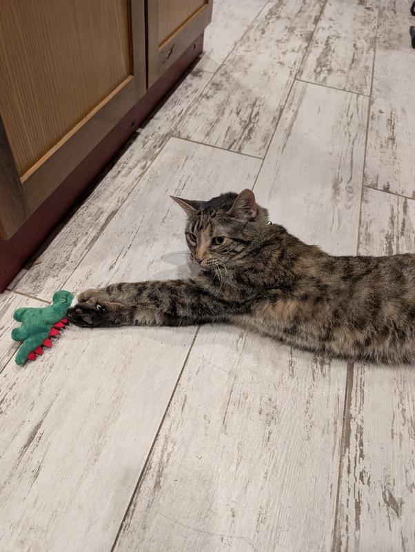 Whizzy loves her dino!!