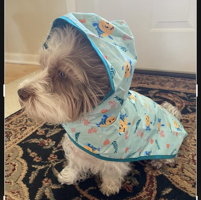 Chewy raincoat best sale