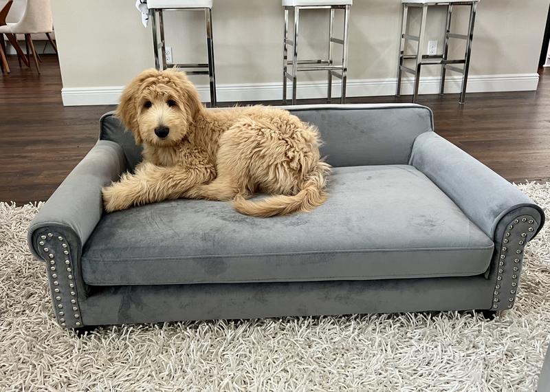 FRISCO Sofa Pet Bed with Removable Cover, Beige, Medium