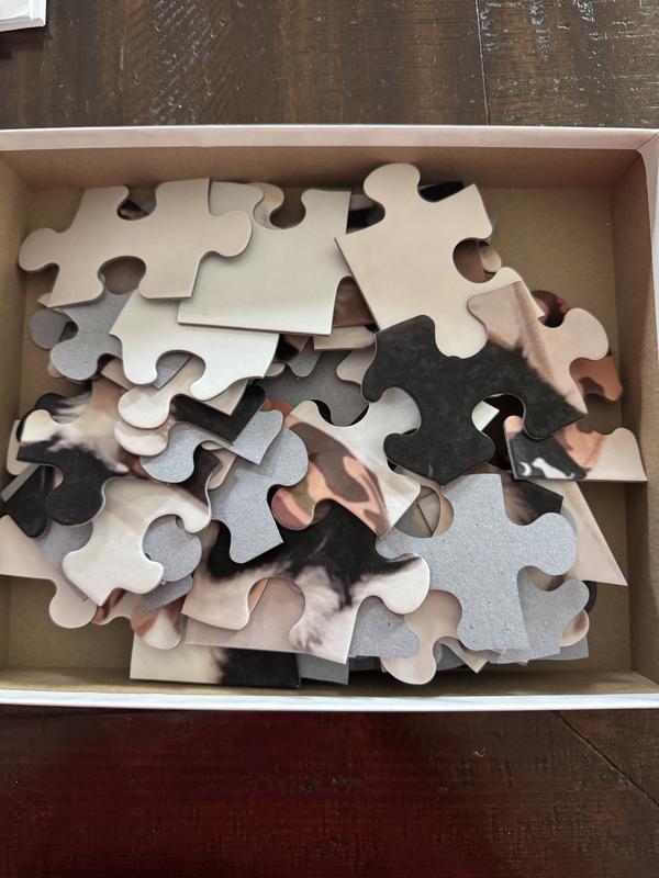 Puzzle pieces