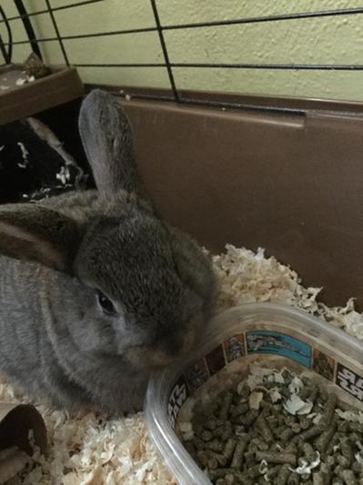 Duke denying the fact that he likes his old food.