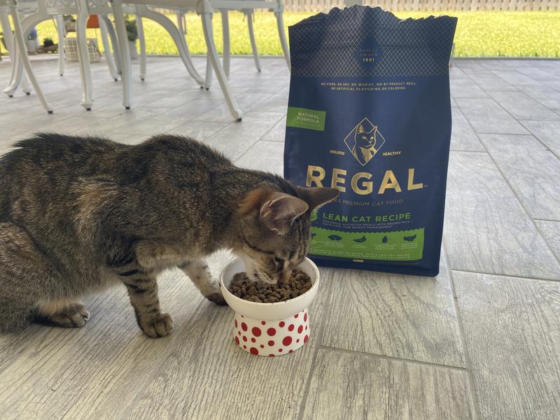 So yummy you’ve got to try it!