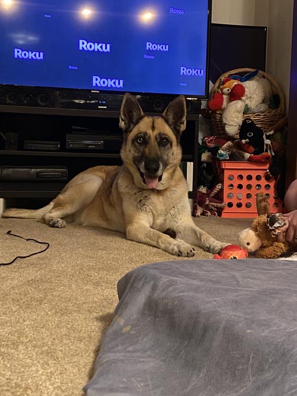 Sally in front of her overflowing toy box (one of them).