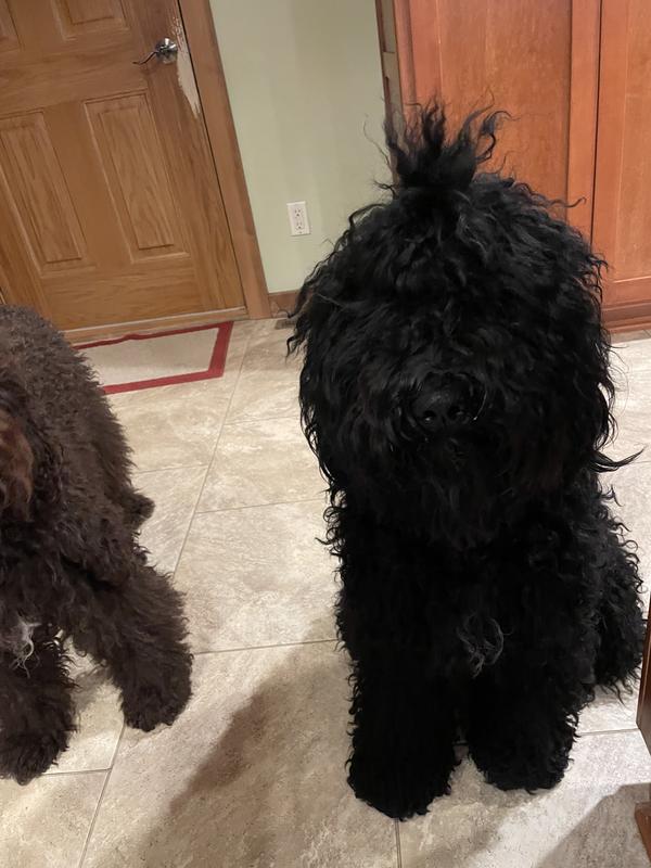 I’d like more, please!