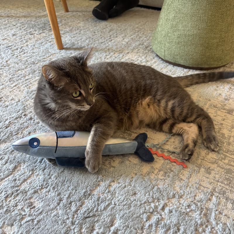 Playing with sardine!
