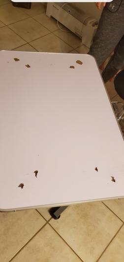 Bottom of table as it came out of the box.