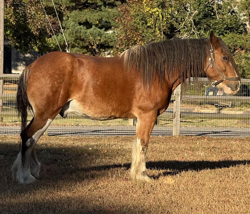 Eli, 24 yrs old, choke history,EPM survivor