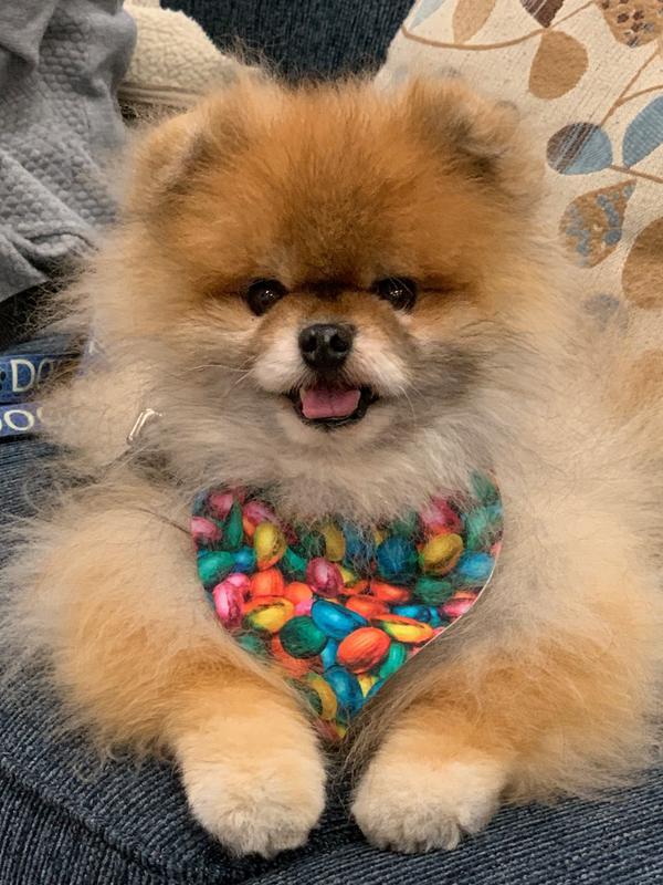 Trey at work comforting one of his patients.