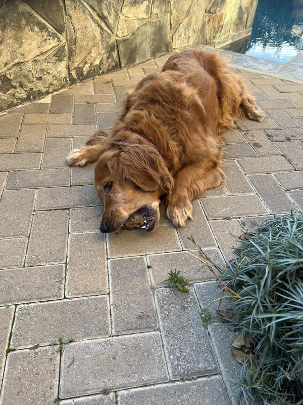 Trapping it on the ground