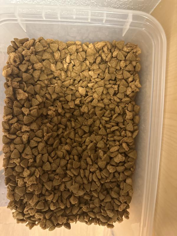 Food size and texture