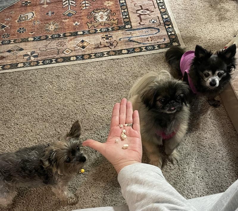 Broken up for our pets with no teeth