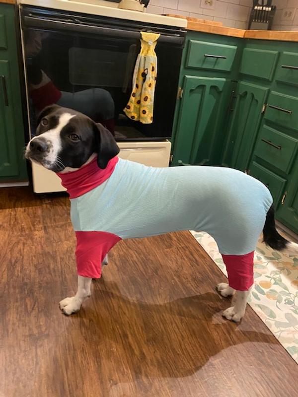 Frisco Convertible Striped Funnel Neck Dog & Cat Playsuit