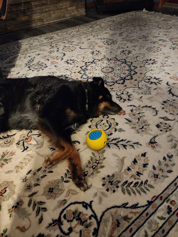 JW PET Grass Ball Dog Toy, Color Varies, Large