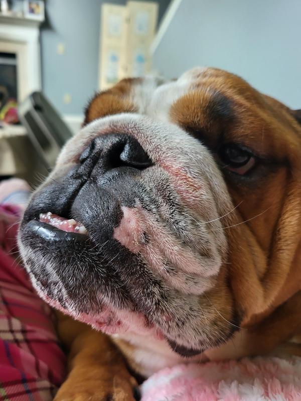 Finally a food that works!