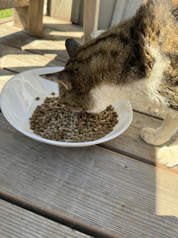 Happy eater
