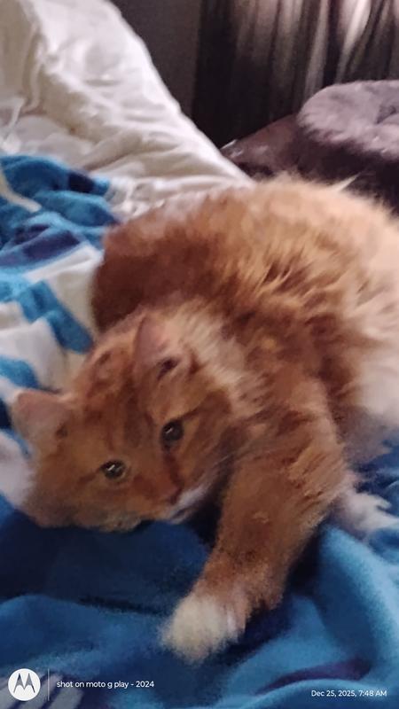 Take a picture,I'm adorable right