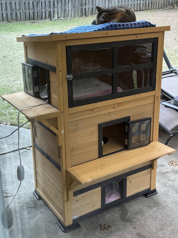 CJ asleep on the roof