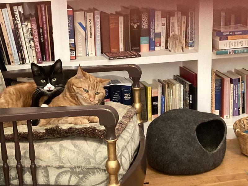 Life just isn't the same without our Protein Puffs.