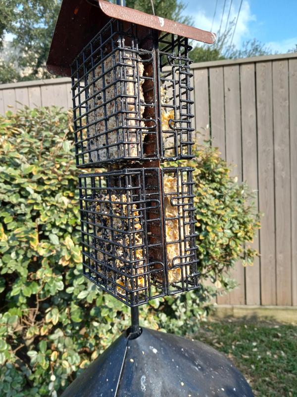 Dripped all over in the summer heat and made a mess.