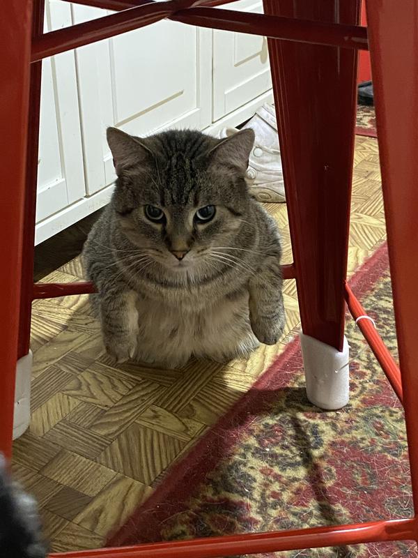 The 3 hooligans who finished off the bag.