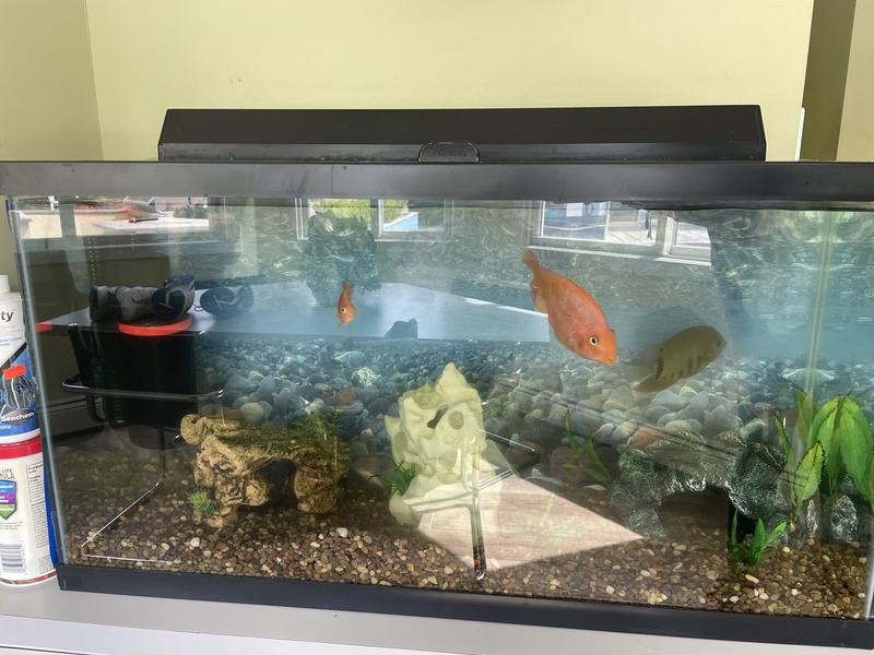 SEAVIEW Aquascape Reversible Background Aquarium Accessory, Slateways