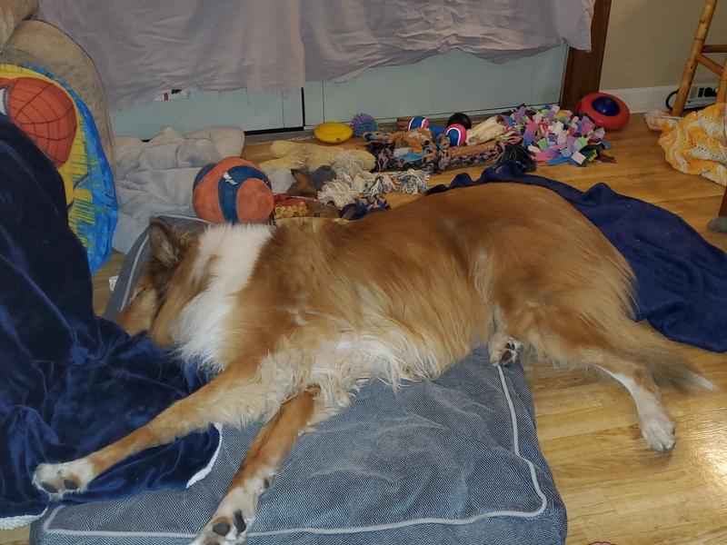 Conley's all played out.