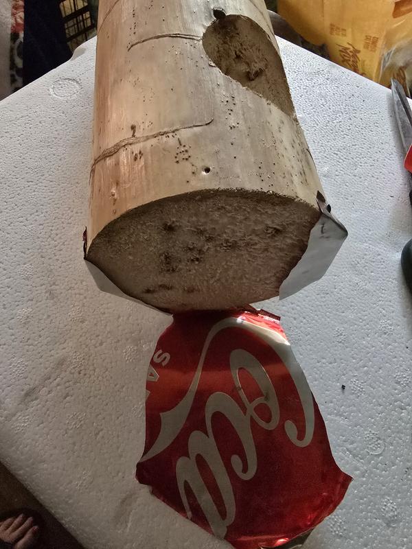 Don't buy! The ends are covered in thin coke cans! That will kill a bird!