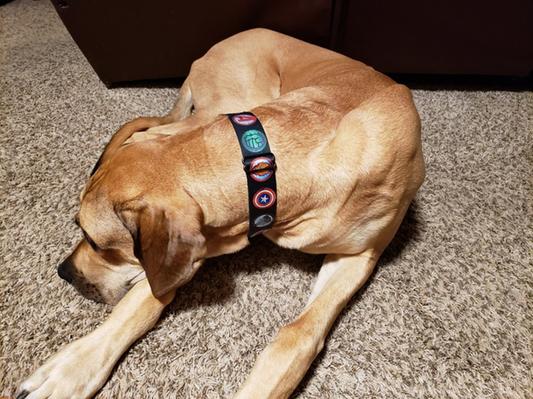 Nap time is good time for some pictures : )