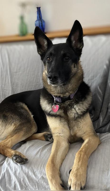 She might be picky… 😄🐾