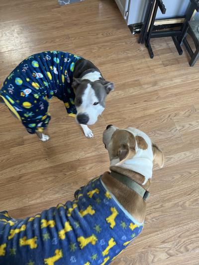 Me and my brother in our new PJs
