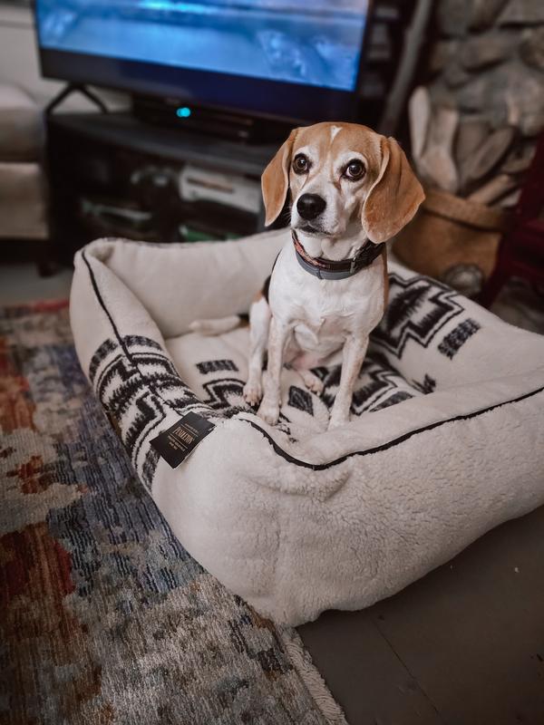 Pendleton Dog Bed Love ❤️