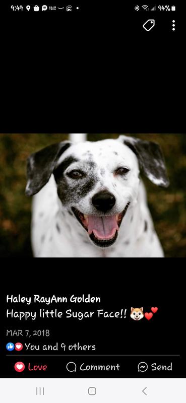 Happy old girl with all her teethatcslmost 18 yrs old!