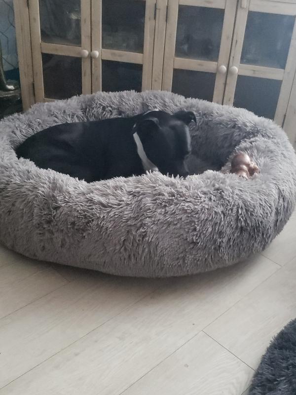 FURHAVEN Plush Ball Pillow Dog Bed with Removable Cover, Espresso