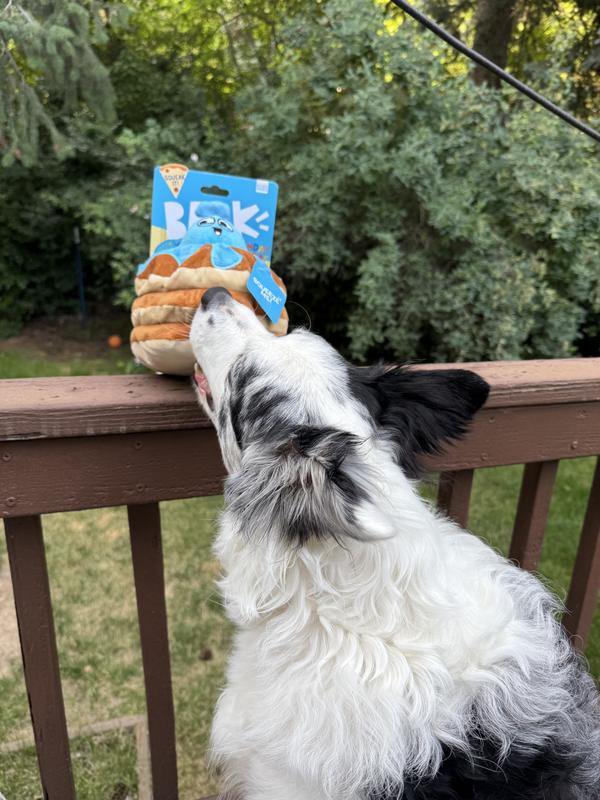 She’s impatient to get her toy!