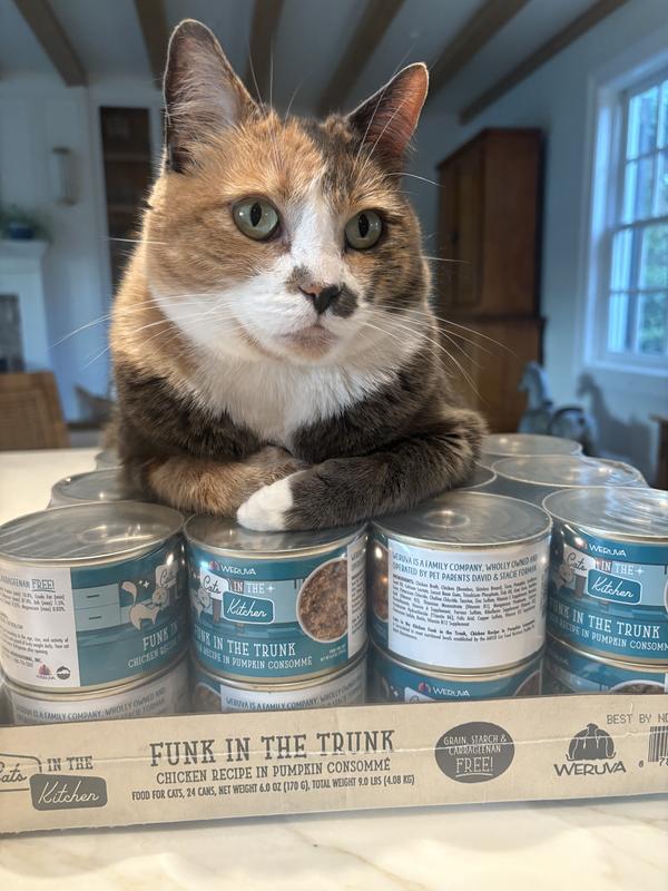 They also like this food - as you can see