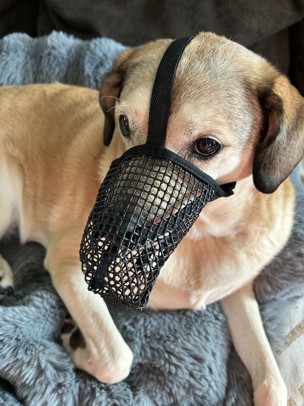 Plenty of breathing room