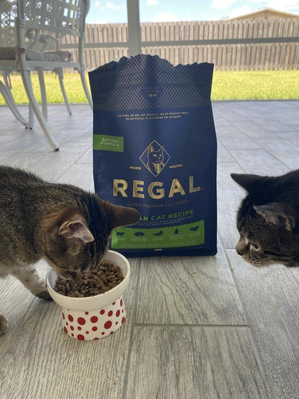 Bickie loves the food!