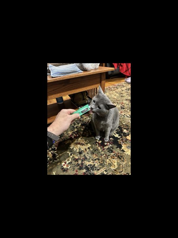 Gracie was feeling left out