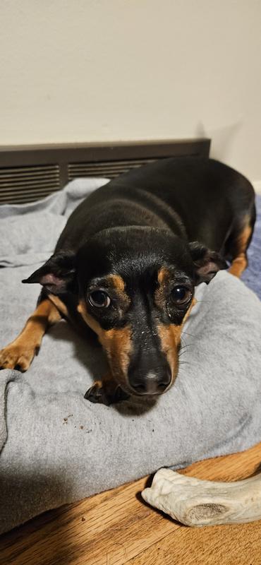 Annnnnddddd... GONE!