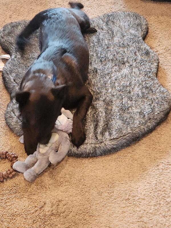 Right after receiving the toy.